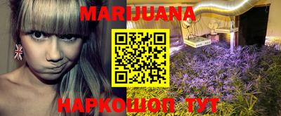прущие грибы Гусиноозёрск