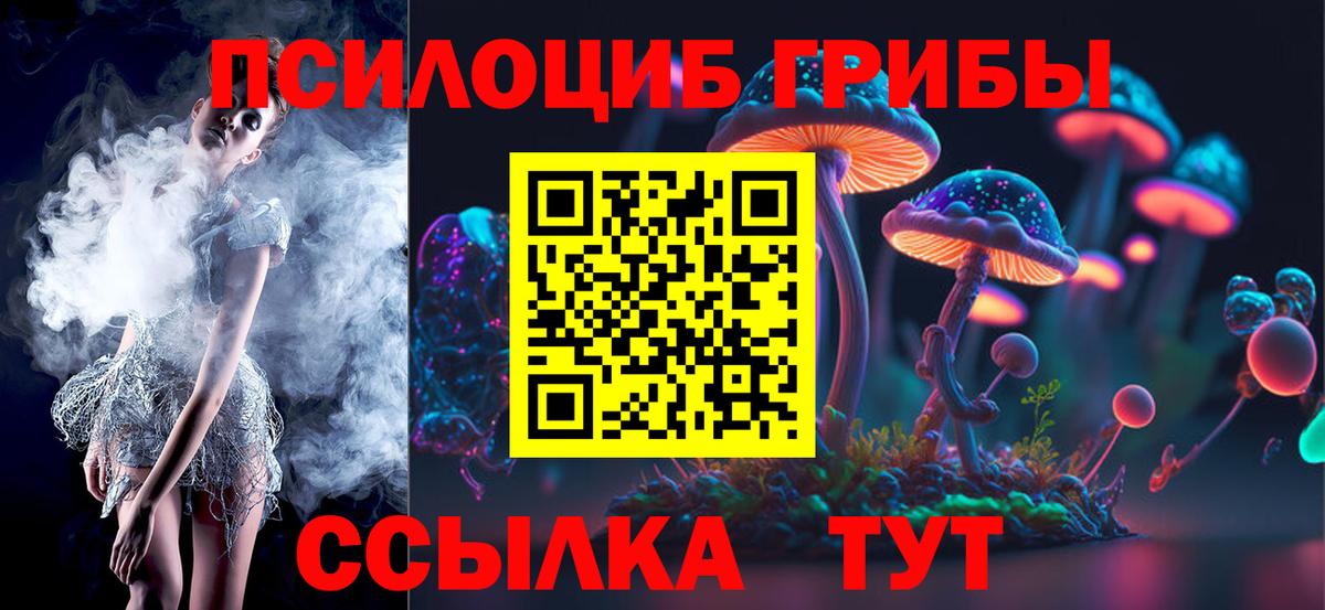 Мурманск  Псилоцибиновые грибы мицелий  Вход с VPN 